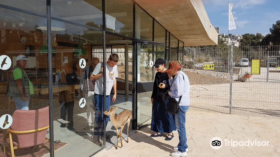 Gazelle Valley