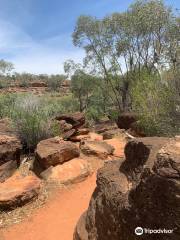 Mulgowan (Yapa) Aboriginal Rock Art Site