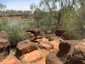 Mulgowan (Yapa) Aboriginal Rock Art Site