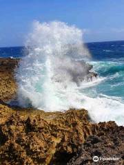 Curacao Buggy Adventures