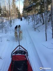 Wolfsong Adventures in Mushing