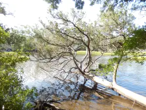 Theodore Roosevelt State Natural Area Dedicated Nature Preserve