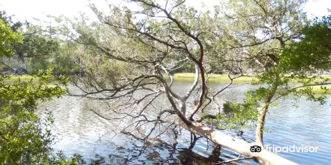 Theodore Roosevelt Natural Area