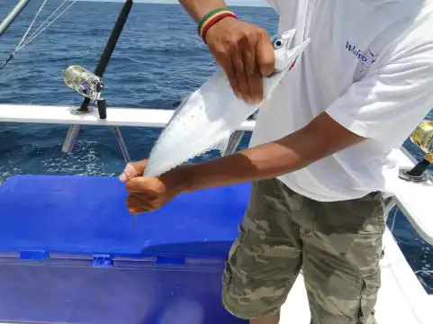 โรงแรมใกล้Golden Dragon,Fishing Phuket