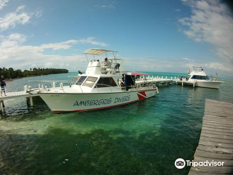 Ambergris Divers Belize