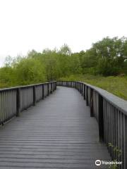 Abrams Creek Wetlands Preserve