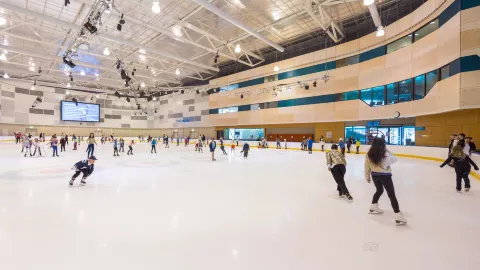 メルボルンでアイススケート attraction in メルボルン