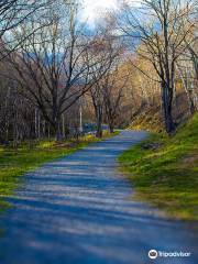 Greenlink Rotary Park Trail System, Maillard St Entrance