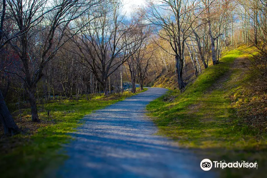 Greenlink Rotary Park Trail System, Maillard St Entrance