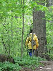 O'Neil Nature Preserve (formerly Paxton's Bush)