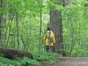 O'Neil Nature Preserve (formerly Paxton's Bush)