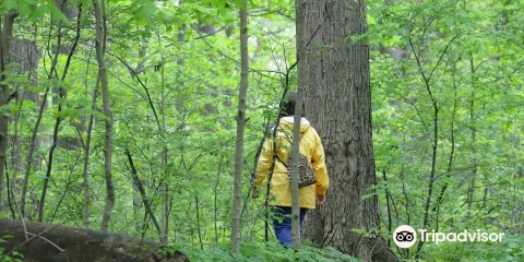 O'Neil Nature Preserve