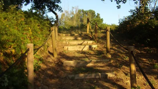 Dune Fossili di Massenzatica