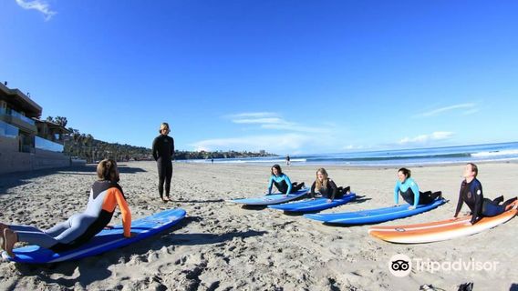 Progressive Surf Academy