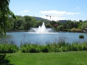 Park im Grünen
