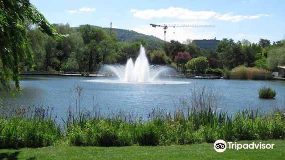 Park im Grunen