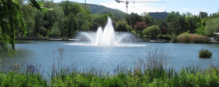 Park im Grunen