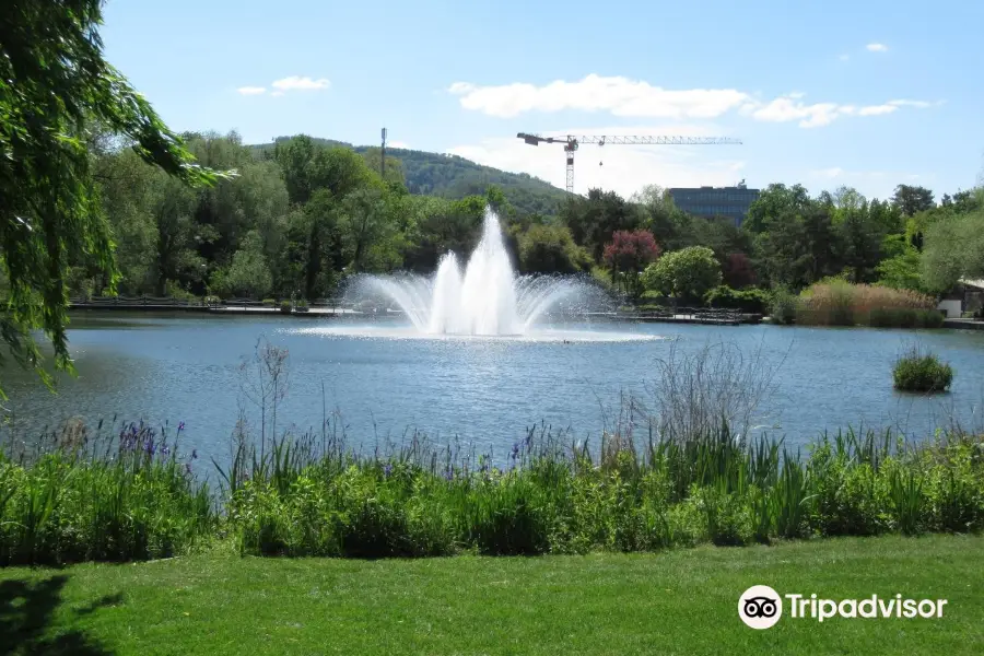 Park im Grunen