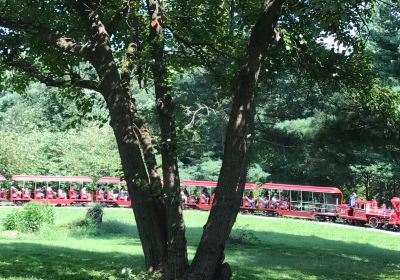 Miniature Train and Carousel at Wheaton Regional Park