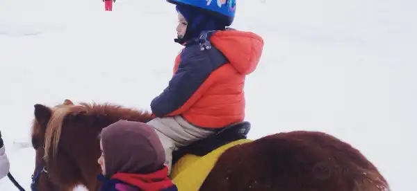 Hotels in Kolari