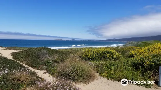 Francis Beach