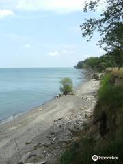 Ruscom Shores Conservation Area