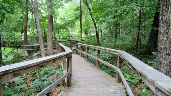 Acton Arboretum