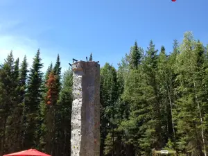 Treeosix Adventure Parks | Waskesiu