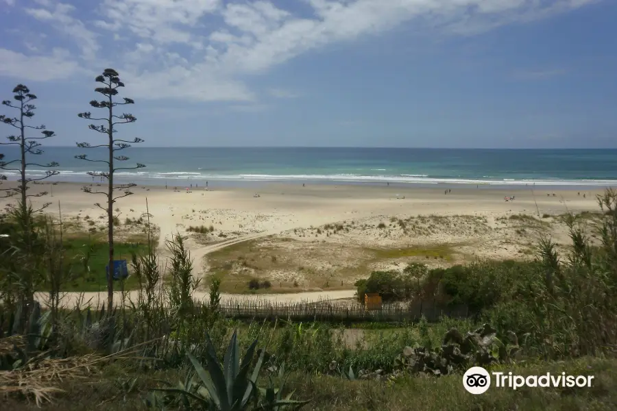 Playa de La Fontanilla