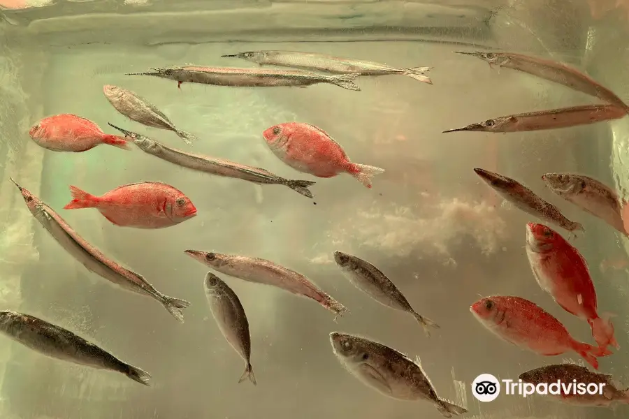 Ice Aquarium, Kesennuma