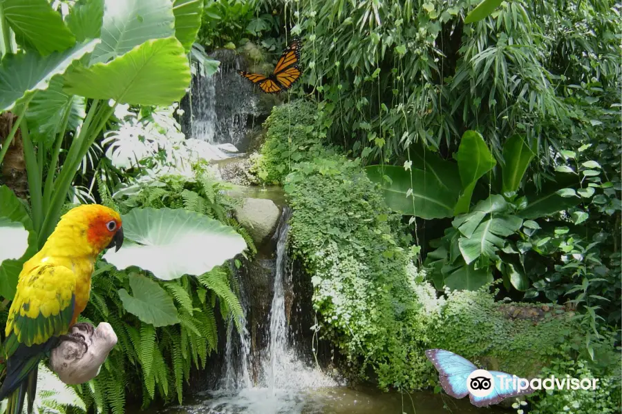 Butterfly Park Empuriabrava