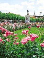 Guided Tours Alcala de Henares - Tours