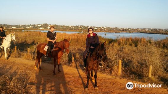 Centro Hipico Quinta da Saudade