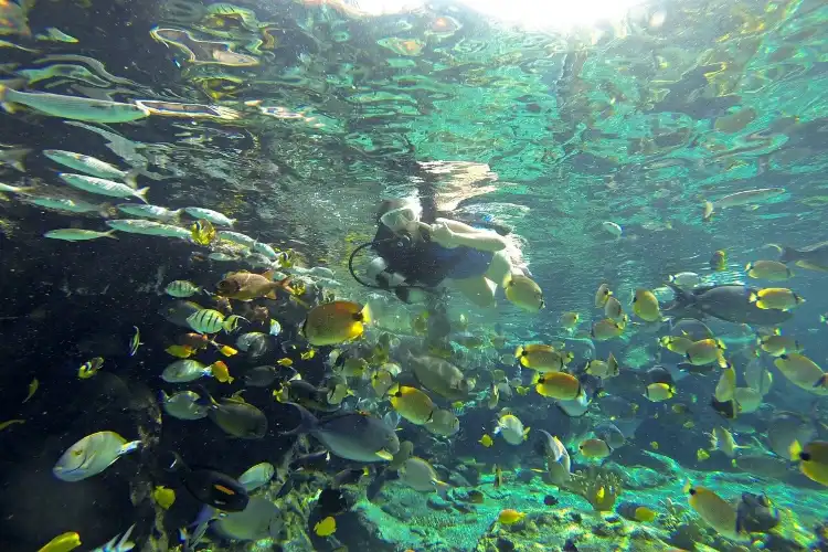 Hotels near Rainbow Reef