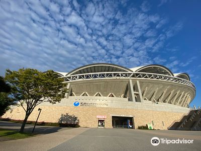 Denka Big Swan Stadium