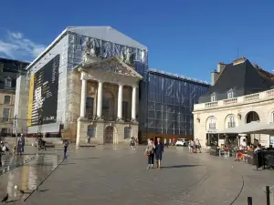 Museum of Fine Arts Dijon