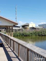 Texas Sealife Center