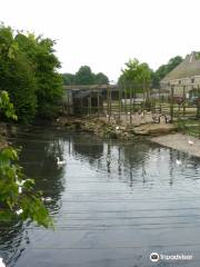 La Ferme de Gally - Jardinerie, Marché, Épicerie