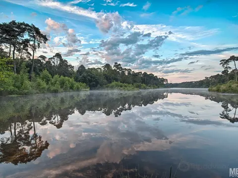 오이스터위지크