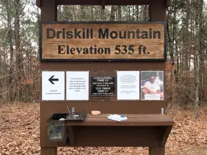 Driskill Mountain