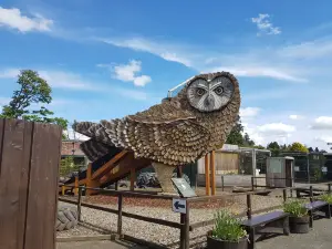 Scottish Owl Centre