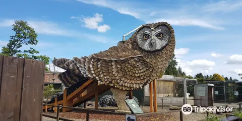 Scottish Owl Centre
