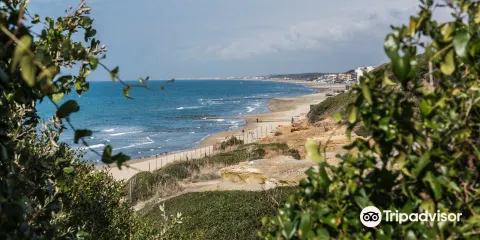 Riserva Naturale di Tor Caldara