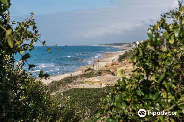 Riserva Naturale di Tor Caldara