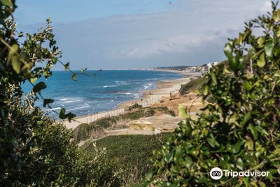 Riserva Naturale di Tor Caldara