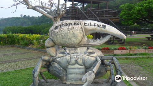 東村ふれあいヒルギ公園