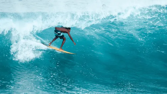 Lucky's Surf School