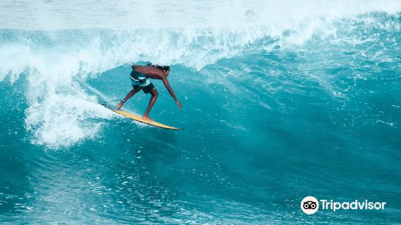 Lucky's Surf School