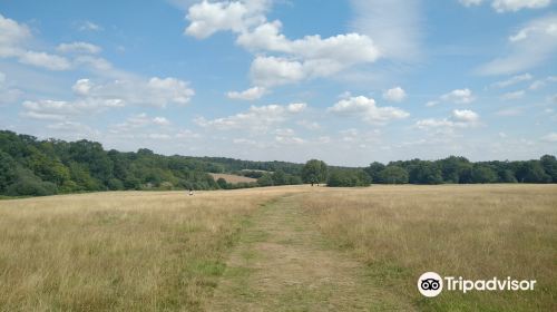 Trent Park