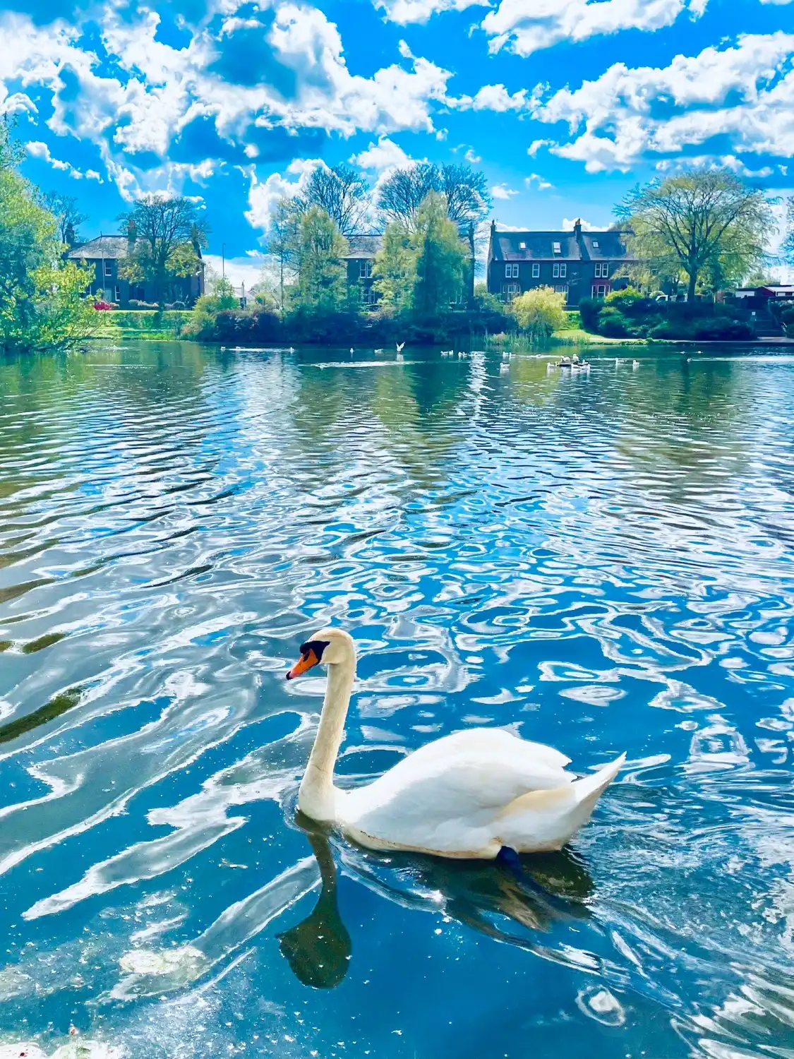 Hotel dekat Keptie Pond